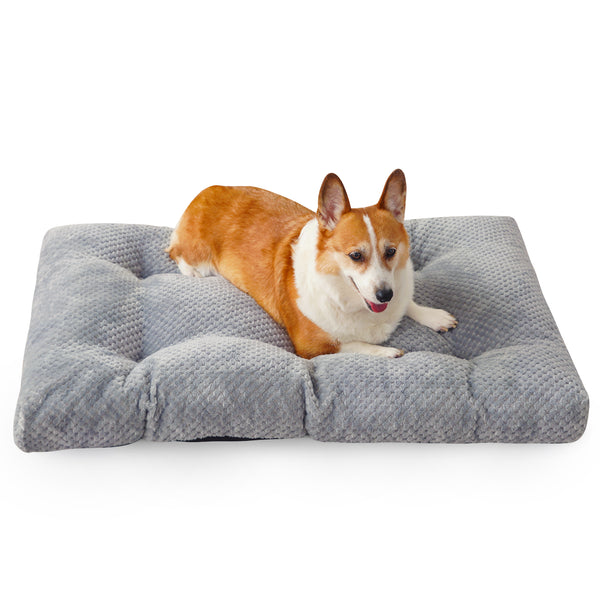 COSYJOY 6.5" Extra-Thick Large Dog Bed, Smooth Velvet Cloth Dog Bed Kennel Mat for Large Medium Dogs, Machine Washable & Anti Slip