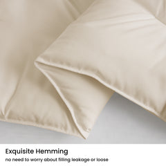 MERITLIFE Beige Comforter Queen Size Set, Lightweight Plain Bedding Comforters Sets, All Season Fluffy Bed Set (90x90In Comforter & 2 Pillowcases)